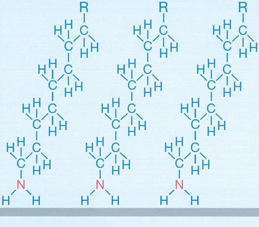การสร้างฟิล์มด้วยโมโนเอมีน